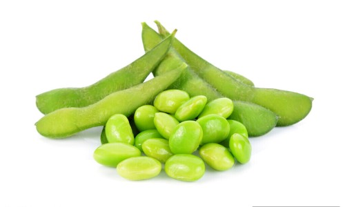 茯苓主要功能治什么病-【茯苓有什么药用价值】茯苓有什么用处和功效 - 哪些是茯苓的功效网